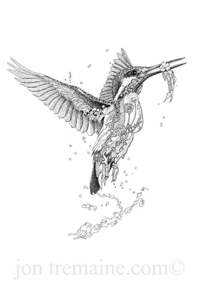 430+ Kingfisher Drawing Illustration And Painting Nature Illustrations,  Royalty-Free Vector Graphics & Clip Art - iStock